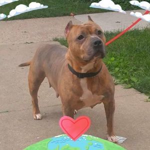 Meet your Posher, Espinoza